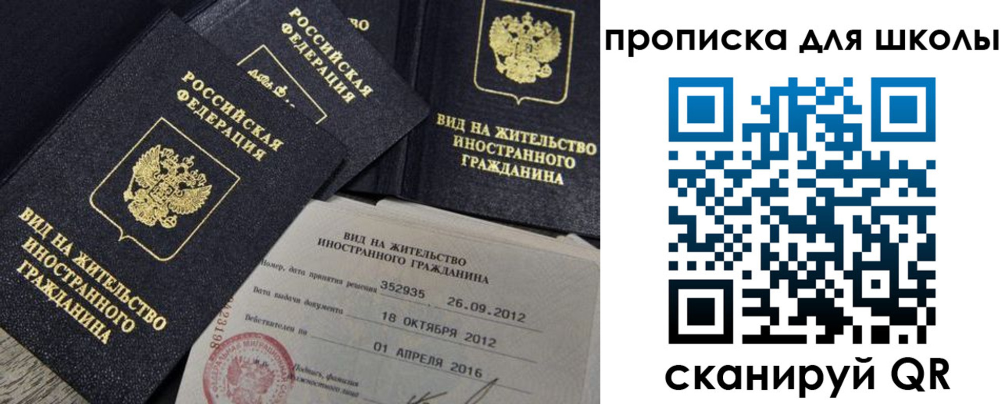прописка паспорт в Дорогобуже